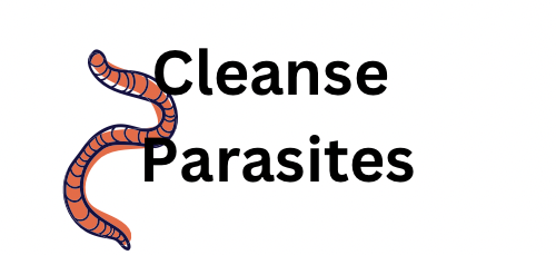Buy Herbal Parasite Cleanse, Heavy Metal Cleanse, Detox Products