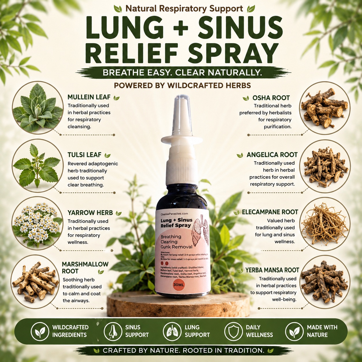 Lung Sinus Detox Cleanse - Herbal Spray - Image 2