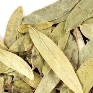 Senna leaf whole for sale, buy senna leaf tea