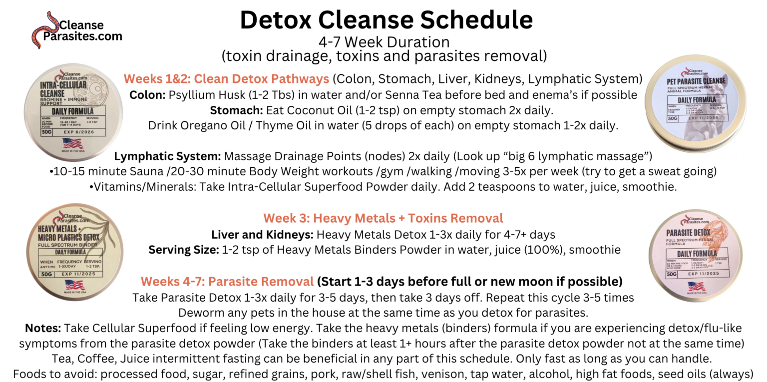 parasite cleanse and heavy metals detox schedule, routine for cleansing, detox pathways